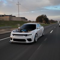 srt_bino_