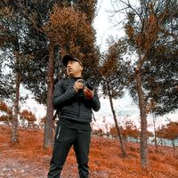 alyyaric_recofic