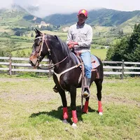 original sound - melvis.sg