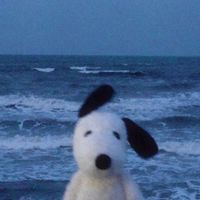 original sound - LUNA ☾*.ೃ࿔