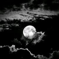 _deinerts._