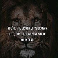 driven.to.win6