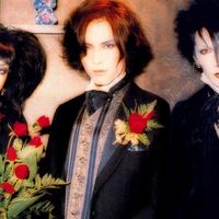 RASPBERRY TIME BY SHAZNA