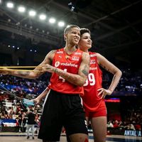 wintrels - orijinal ses