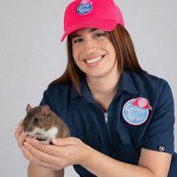 lachicadelagorrarosa