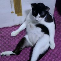 เสียงต้นฉบับ - ตั้งตาหาสตางค์ พาฟังเพลงที่ชอบ