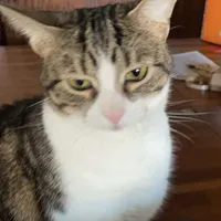 original sound - all..is...on