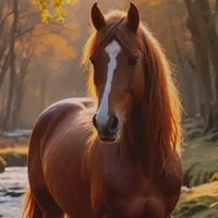 original sound - cavalosamoradoma