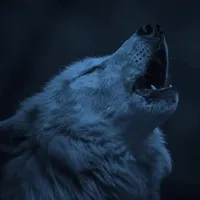 original sound - elgranviejolobo727