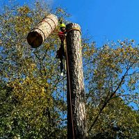 eliasjer_eljunior2000