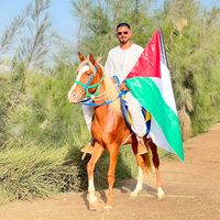 waleedelsaeedy