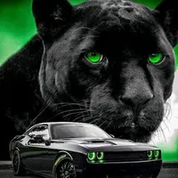 original sound - eljaguar727