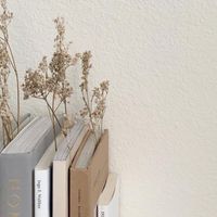 www.reading