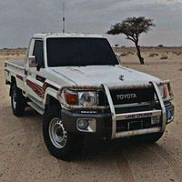 الصوت الأصلي - عبدالله النواصره