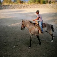 original sound - elyayo801