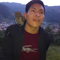 original sound - manati38