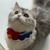 original sound - madababycat