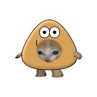 ssj_mdd__