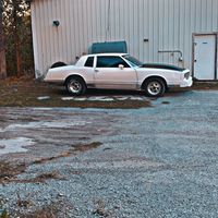 355monte