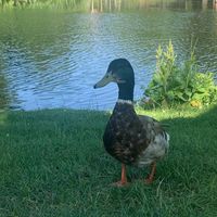 ben seni nasıl kaybettim skiyim uclercagri