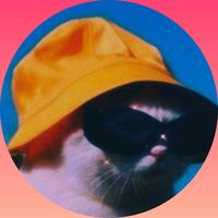 kinoman__md