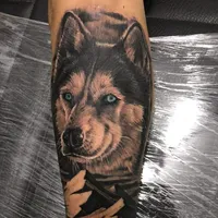 original sound - bruce55robles