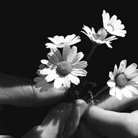 papatya__narin