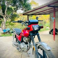 kecincepeda205