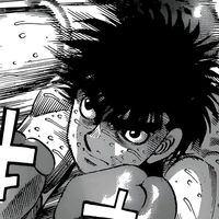 _.ippo13