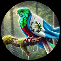 original sound - gt502rd