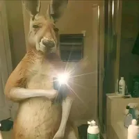 original sound - elflacodelasalsabaul