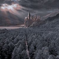 fanfic_harry_potter4