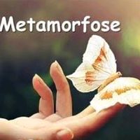metamorfose52