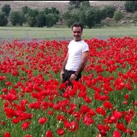 mehmetdemir0200