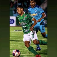 camilomamani10