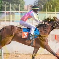 saliougueyejockey