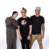 blink182tv