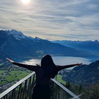 peludinhodomeucoracao