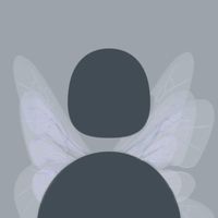 fineassaries
