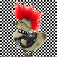 sonido original - Legión del punk 🧷