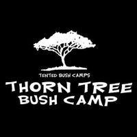thorn_tree_bush_camp