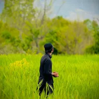 Yar de Bango Lav kaweena