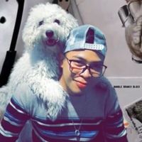 brandontepeugmail.com