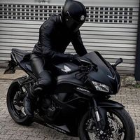 .night.rider