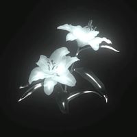 original sound - ⋆