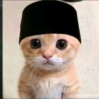 suara asli - cihuyyyy