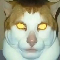 suara asli - Bebek glow up🦆