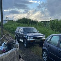 strayed_islander