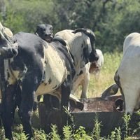 rancho.el.fin.del.mundo
