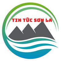 tintucsonla.26